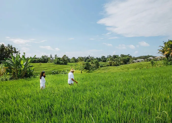 Nyanyi Sanctuary By Ini Vie Hospitality Kuta Lombok