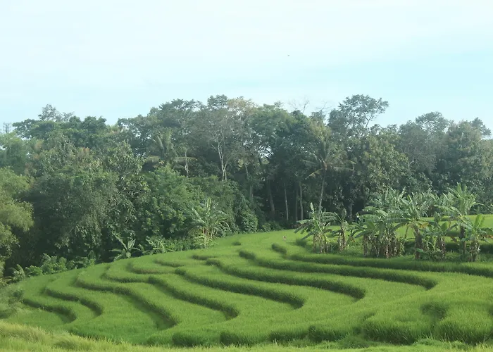 Nyanyi Sanctuary By Ini Vie Hospitality Kuta Lombok