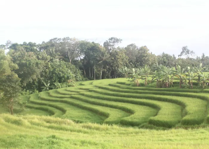 Nyanyi Sanctuary By Ini Vie Hospitality Kuta Lombok